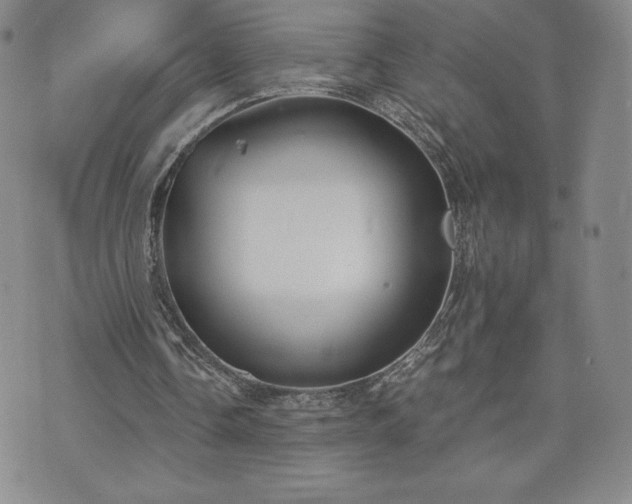 X0000073450338200608041033