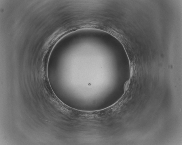 X0000073450339200608041033