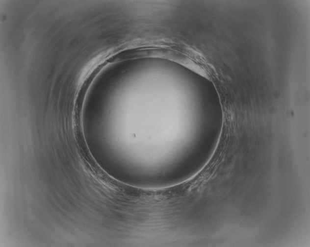 X0000073450340200608041033