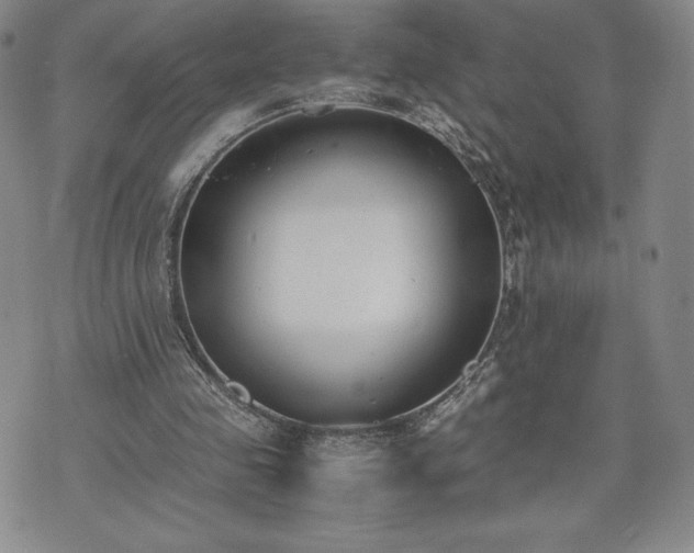 X0000073450341200608041033