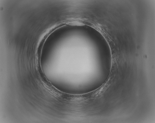 X0000073450342200608041033