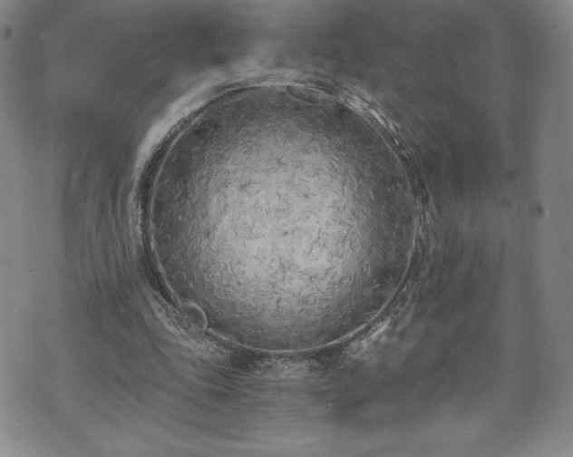 X0000073450343200608041033