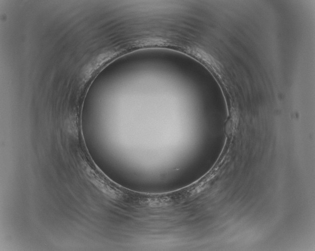 X0000073450345200608041033