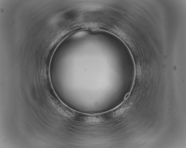 X0000073450347200608041033