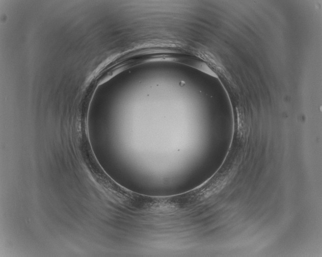 X0000073450348200608041033