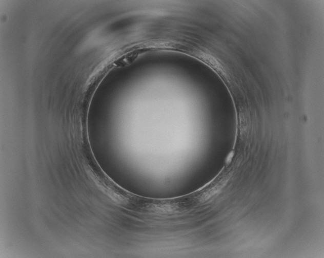 X0000073450349200608041033