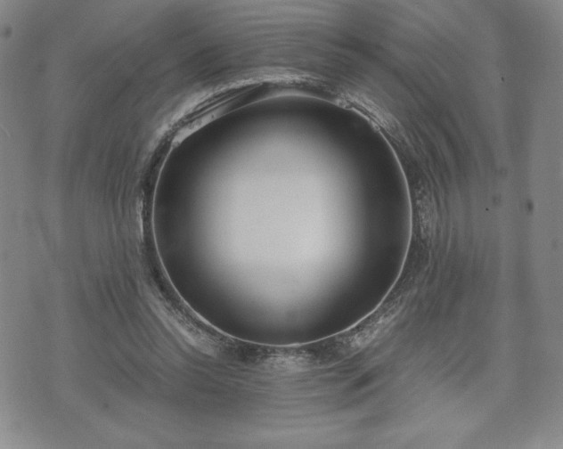 X0000073450350200608041033