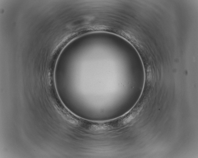 X0000073450351200608041033