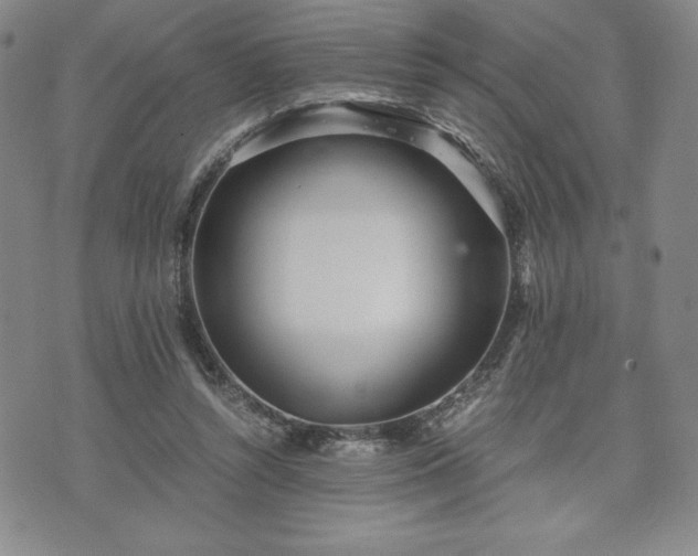 X0000073450352200608041033