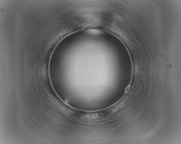 X0000073450353200608041033