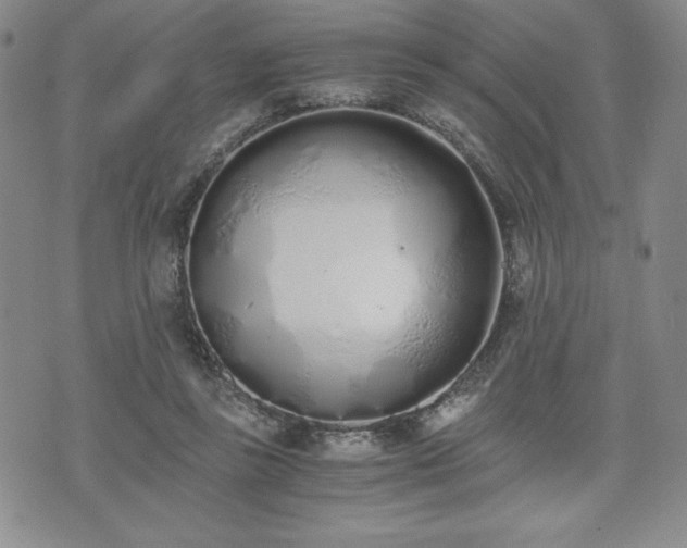 X0000073450355200608041033