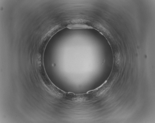 X0000073450356200608041033