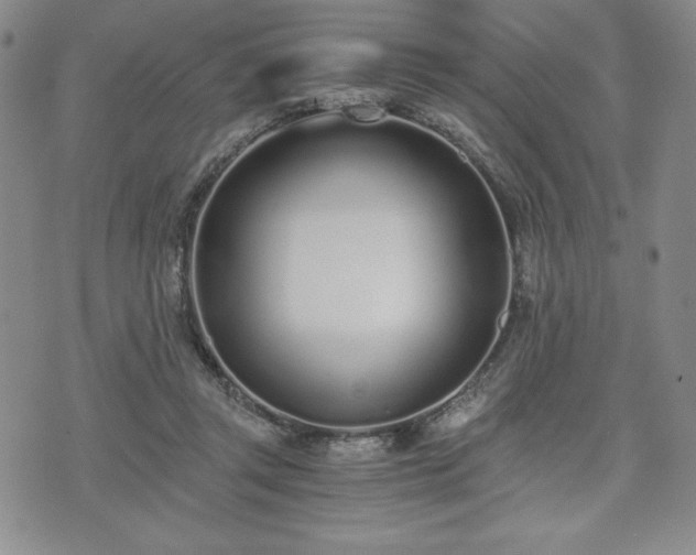 X0000073450357200608041033