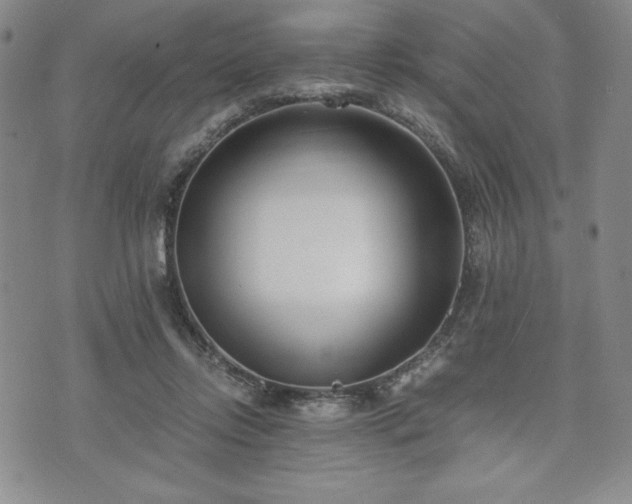 X0000073450358200608041033