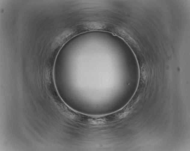 X0000073450359200608041033