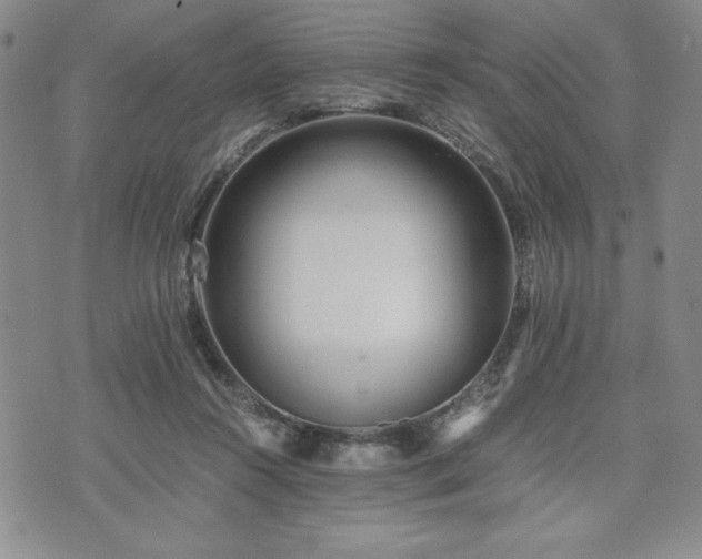 X0000073450360200608041033