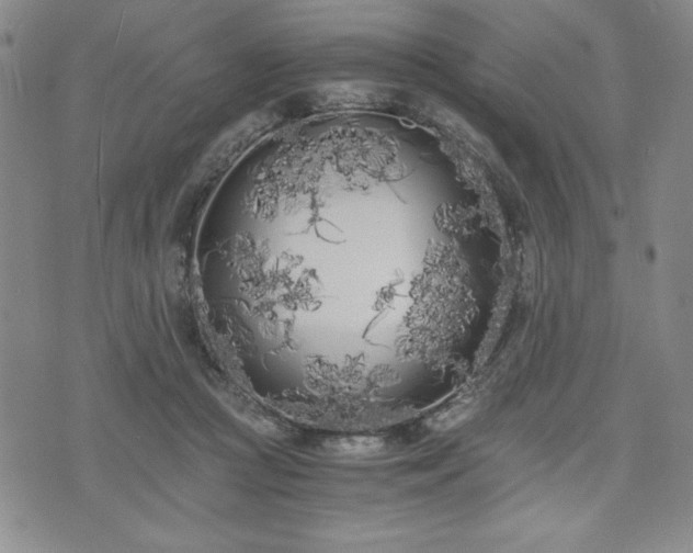 X0000073450361200608041033