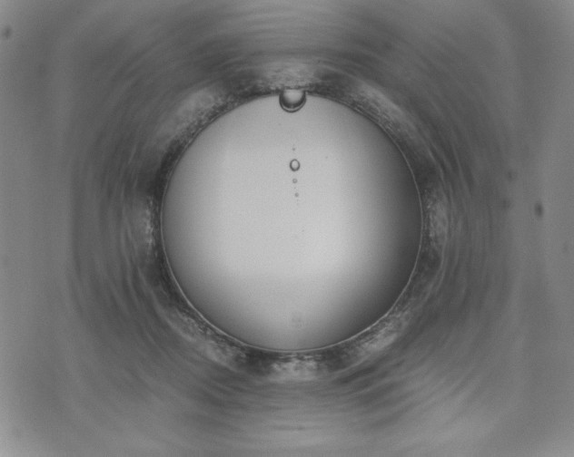 X0000073450362200608041033