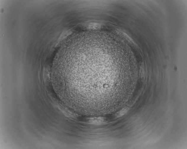 X0000073450363200608041033