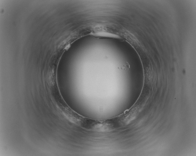 X0000073450364200608041033