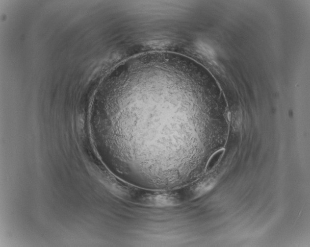 X0000073450365200608041033