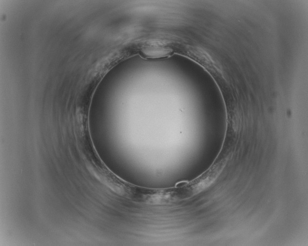 X0000073450366200608041033