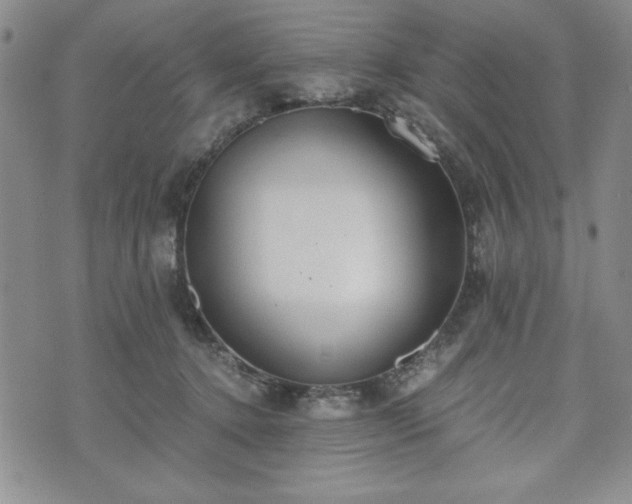 X0000073450368200608041033