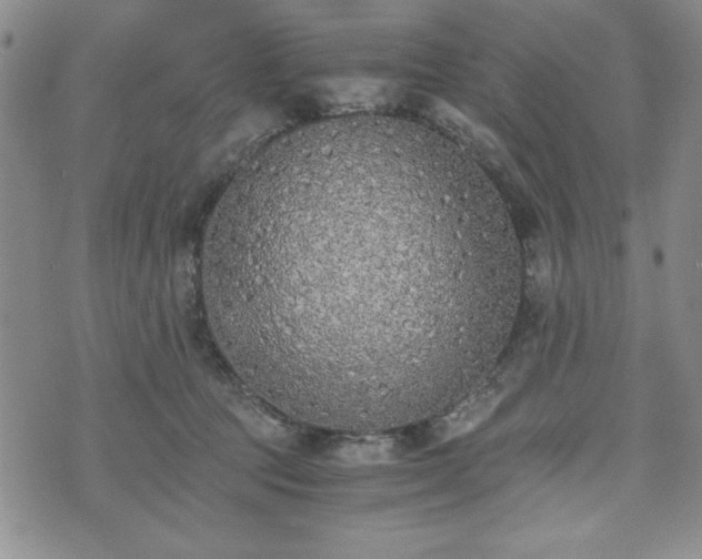 X0000073450369200608041033