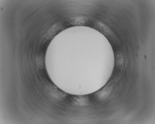 X0000073450370200608041033