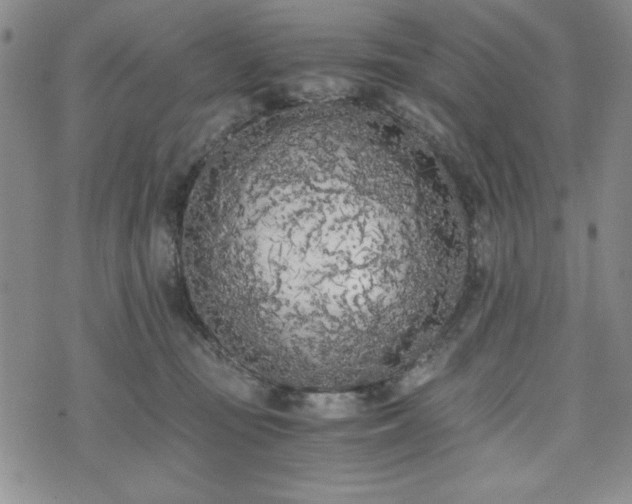 X0000073450371200608041033