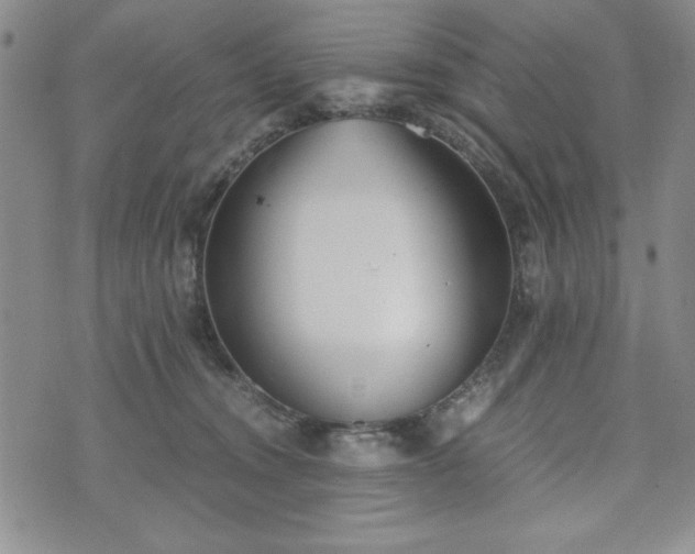 X0000073450372200608041033