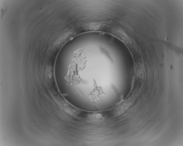 X0000073450374200608041034