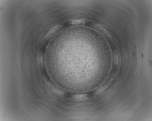 X0000073450375200608041034