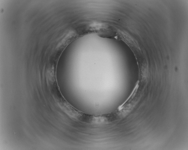 X0000073450376200608041034