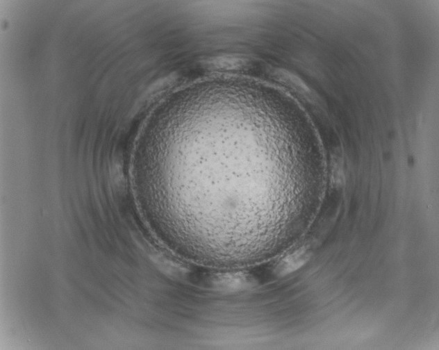 X0000073450377200608041034