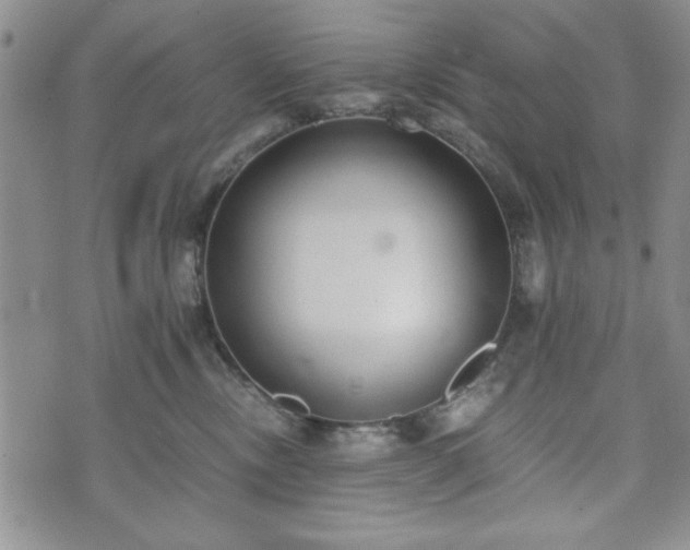 X0000073450378200608041034