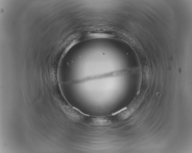 X0000073450380200608041034