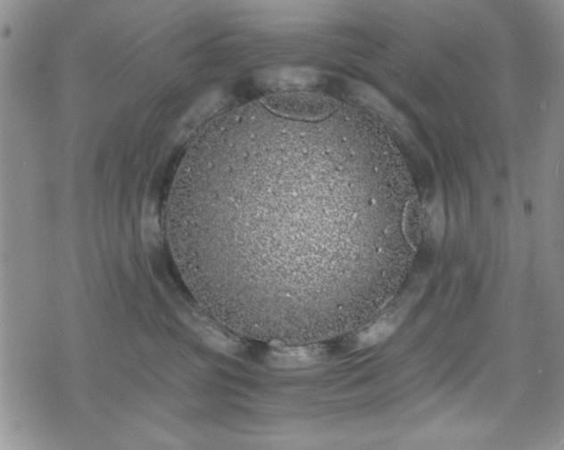 X0000073450381200608041034