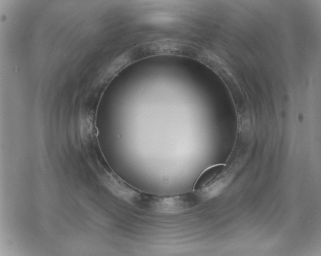 X0000073450382200608041034