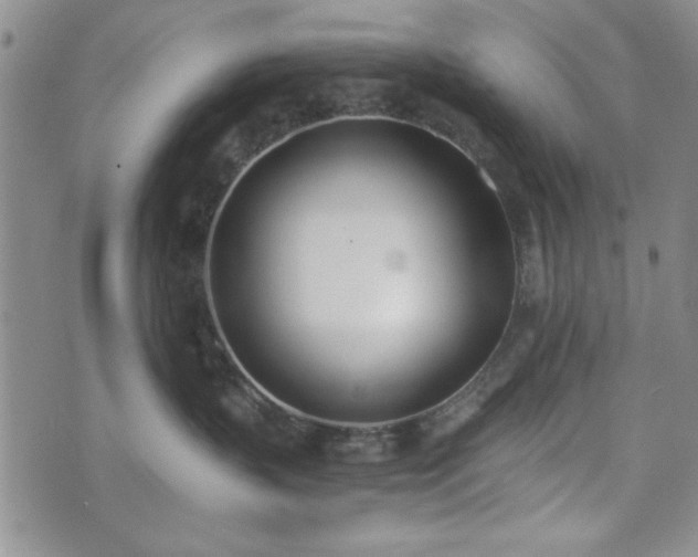 X0000073450383200608041034