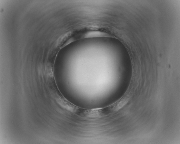 X0000073450384200608041034