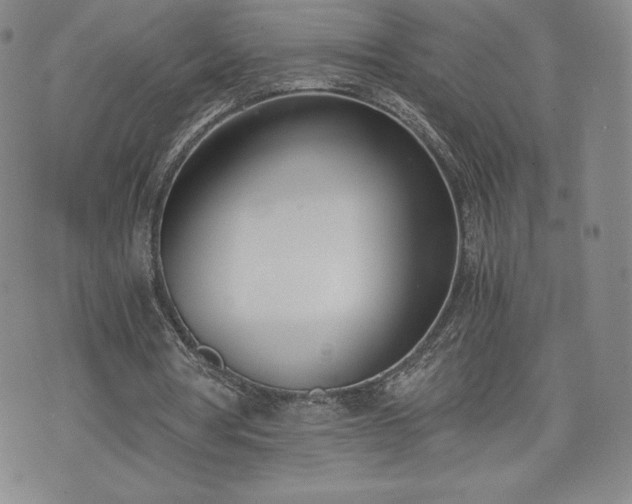 X0000073450386200608041033