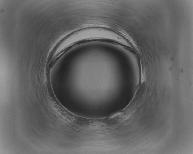 X0000073450387200608041033