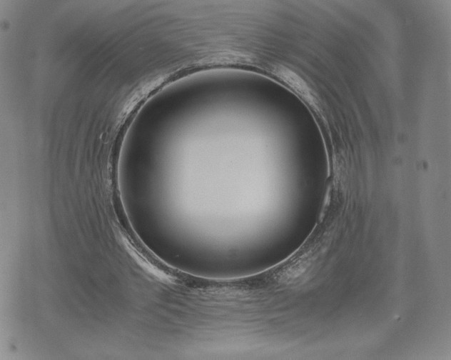 X0000073450389200608041033