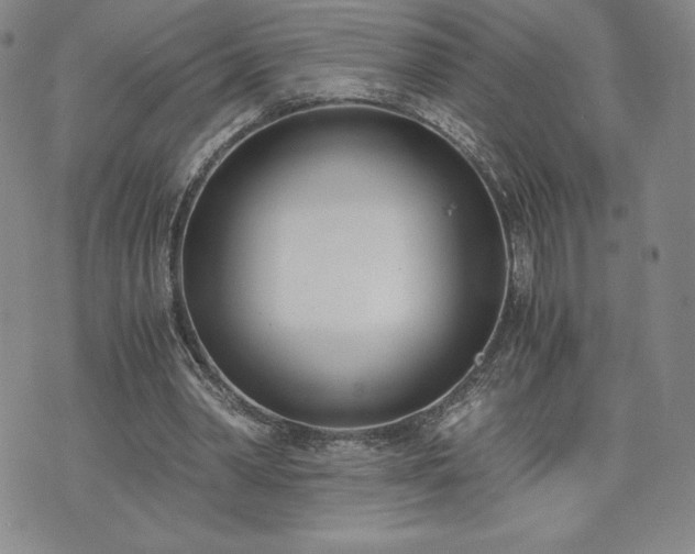 X0000073450390200608041033