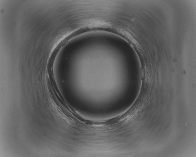 X0000073450391200608041033