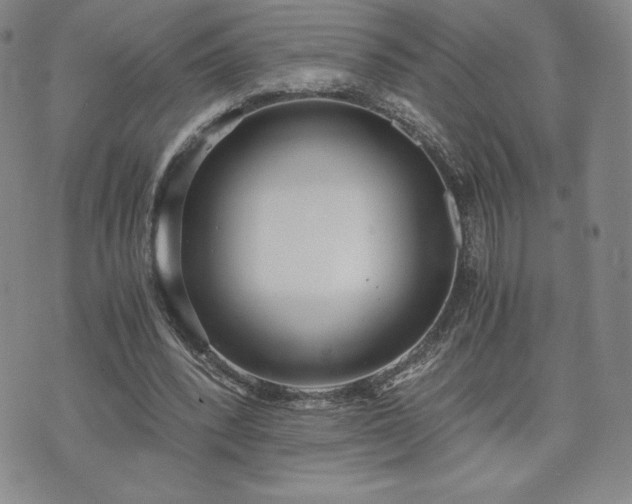 X0000073450392200608041033