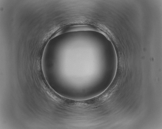 X0000073450393200608041033