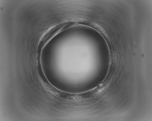 X0000073450395200608041033