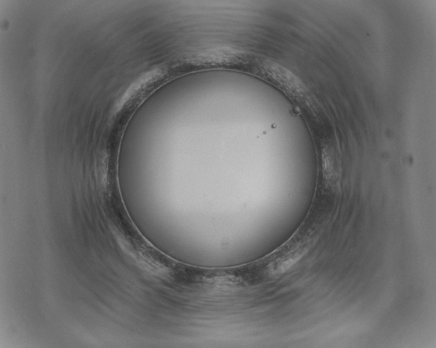 X0000073450396200608041033